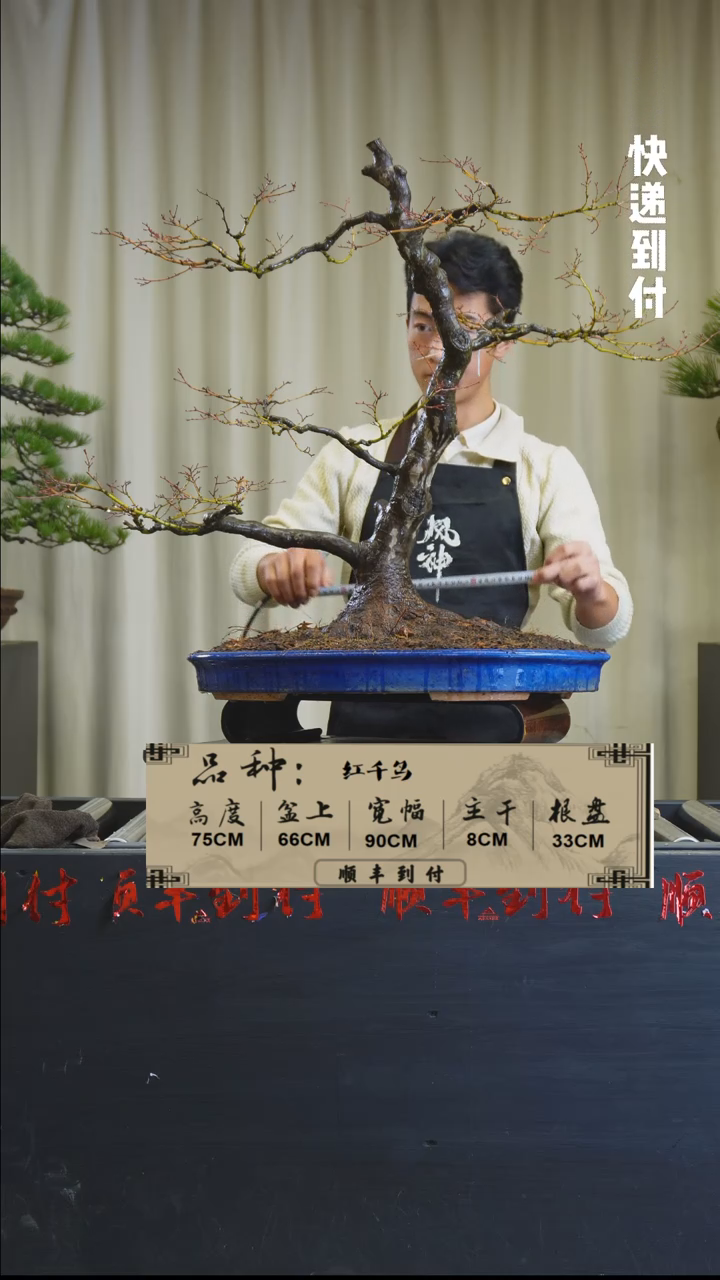 【闪购商品】c822红千鸟bubaoyou