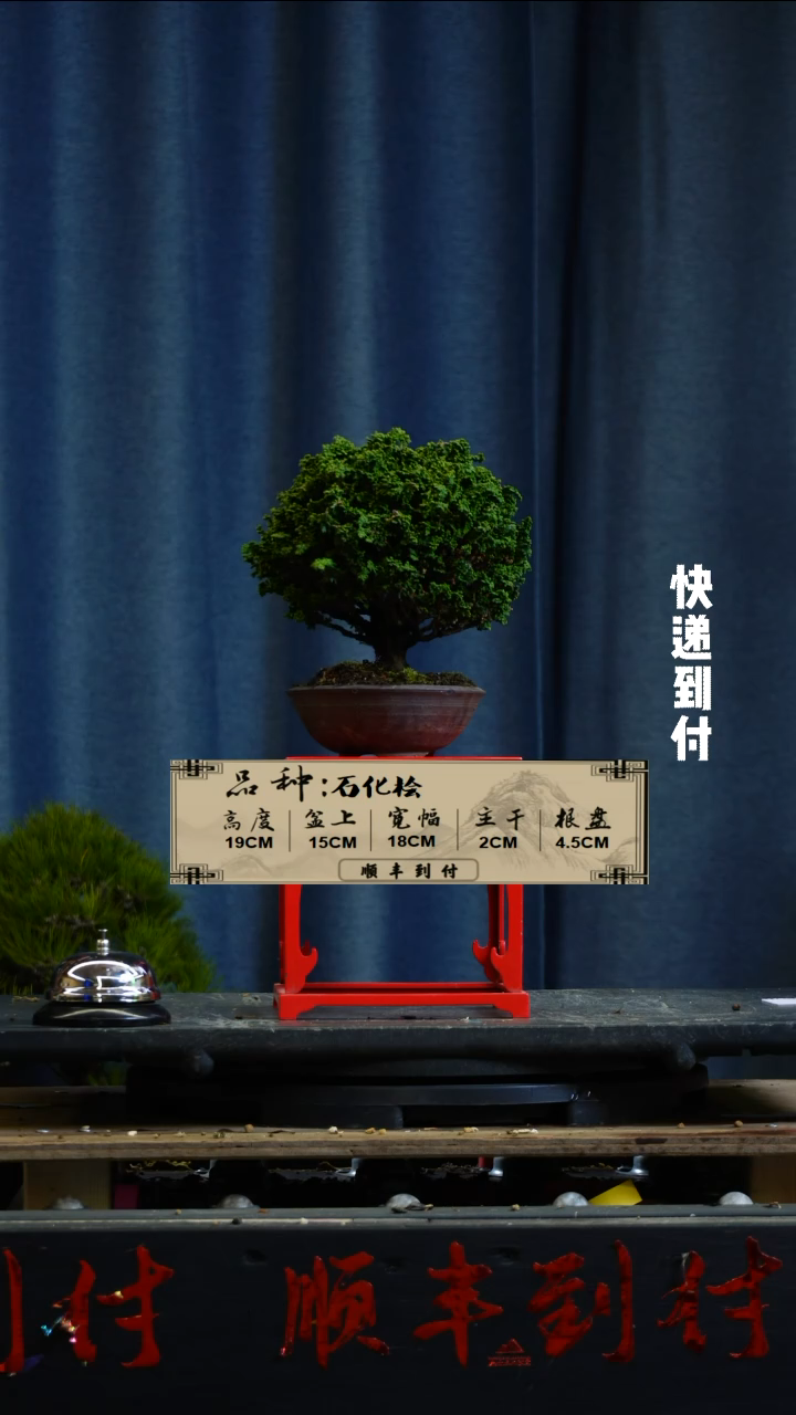 【闪购商品】F983石化桧bubaoyou