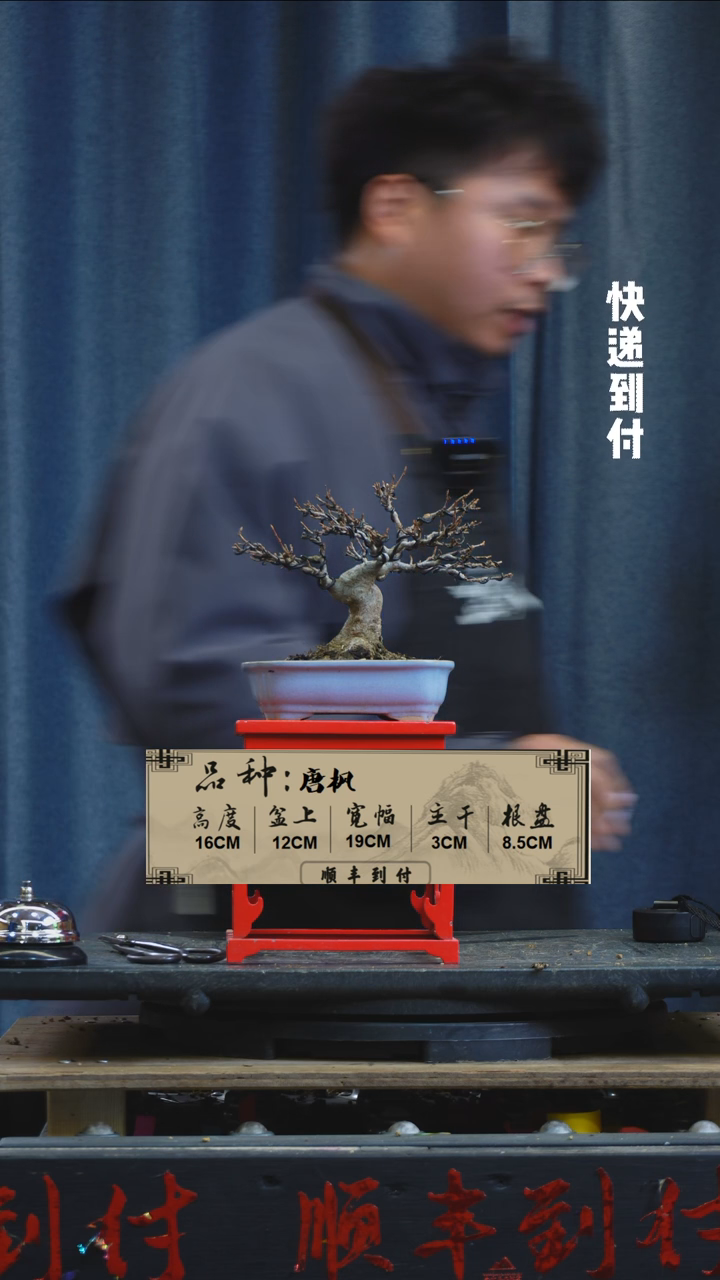 【闪购商品】F756唐枫bubaoyou