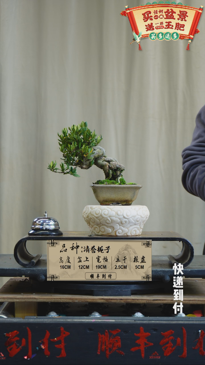 【闪购商品】g900清誉栀子bubaoyou
