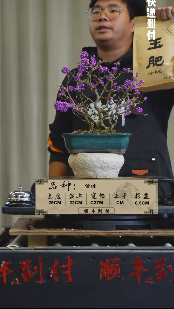 【闪购商品】c878紫珠bubaoyuo