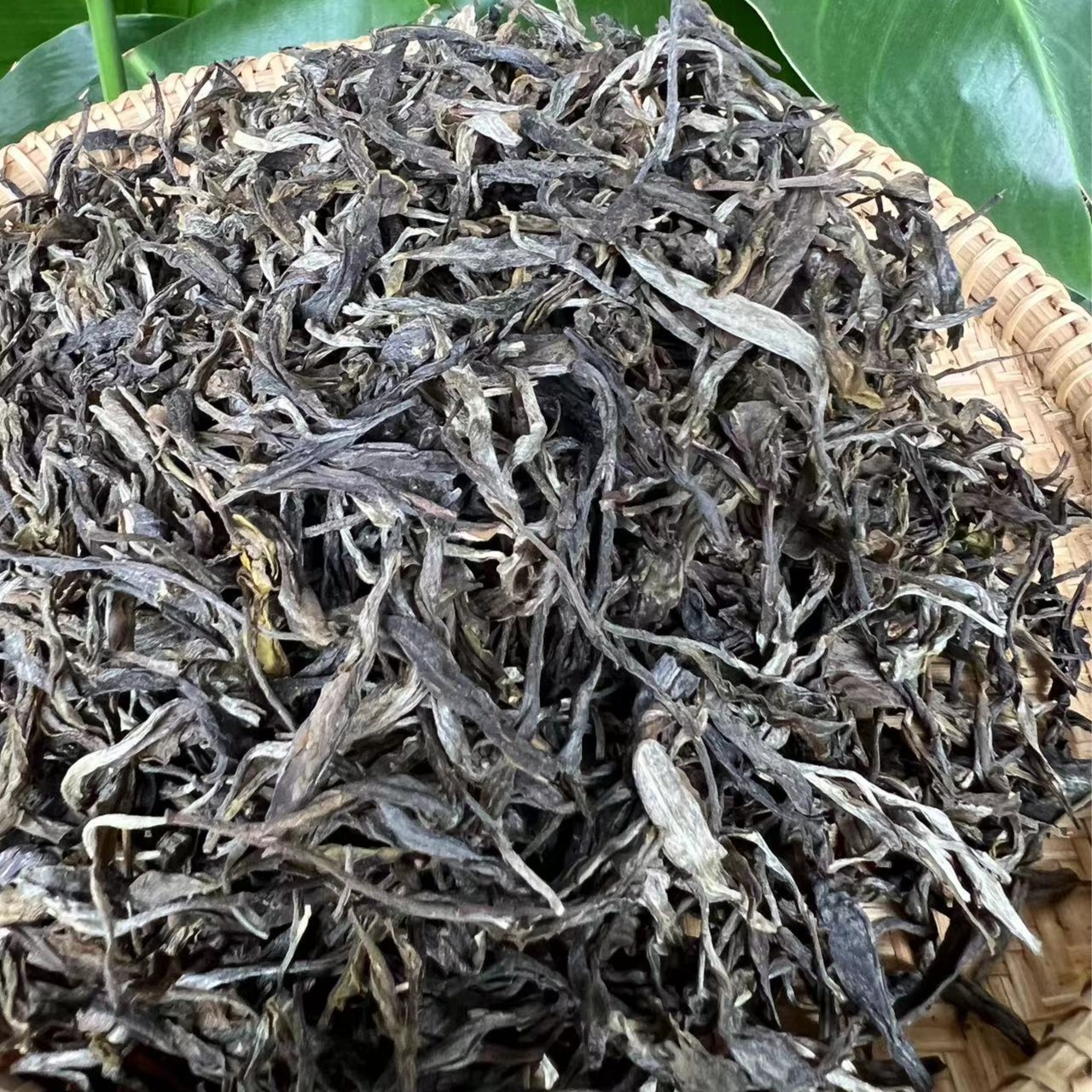 （青年队长专属通用链接)曼岗挑采古树茶200g到手250g