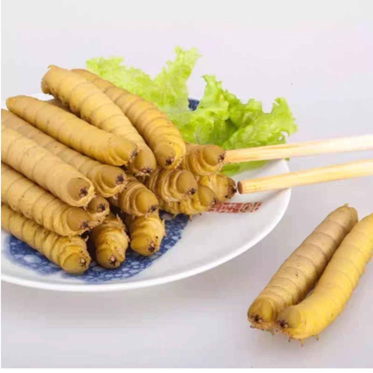 新鲜豆虫豆丹活体冷冻可食用