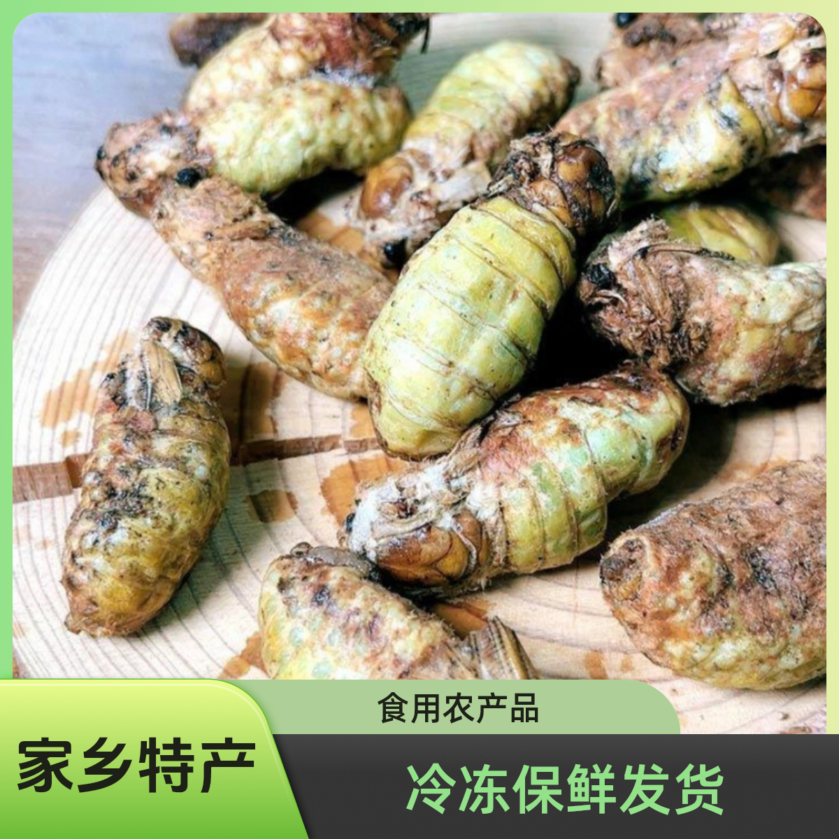 母蚕蛾雄蚕蛾新鲜蚕蛹纯公蚕蛾冷冻保鲜发货食用农产品家乡特产