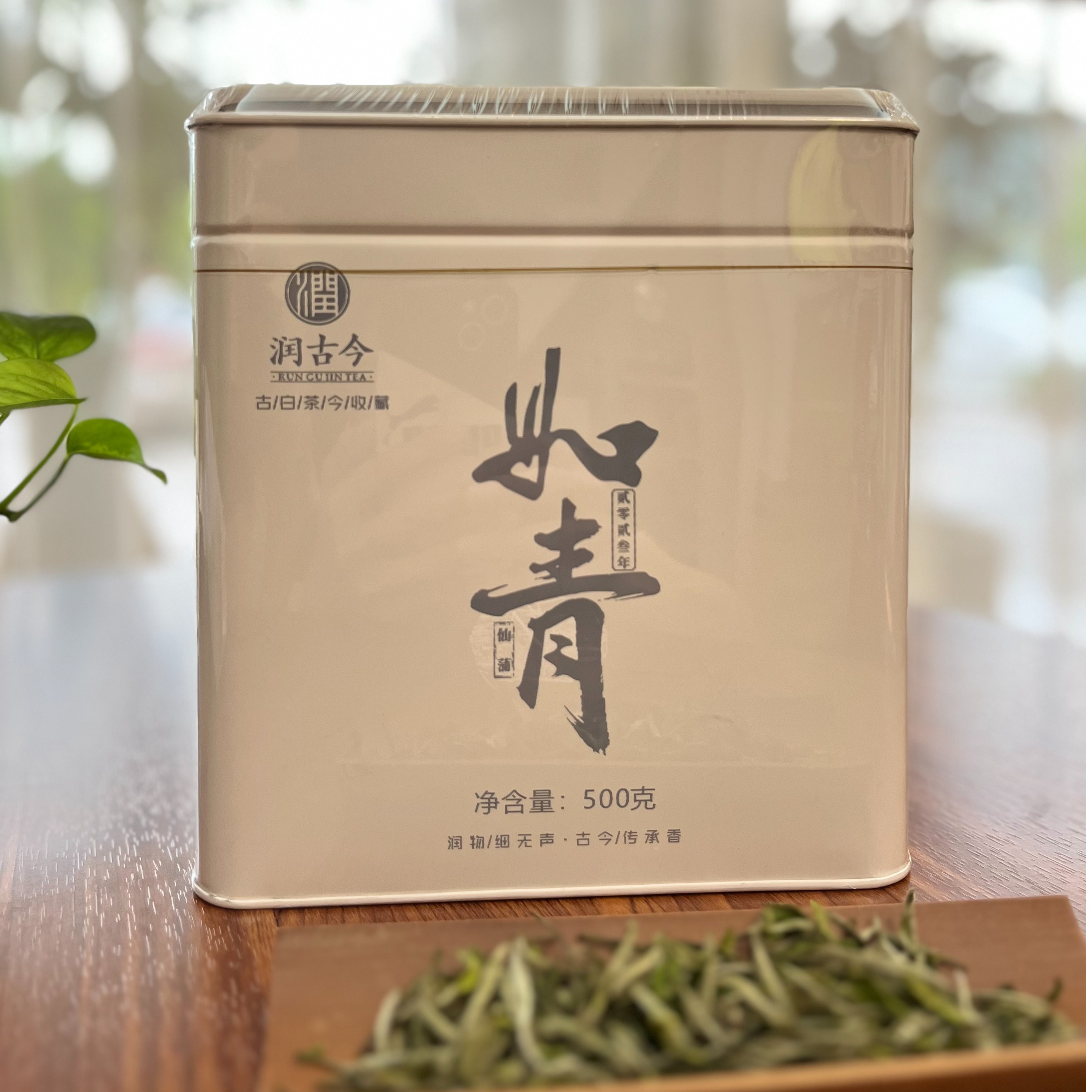 润古今 福鼎白茶2023年仙蒲特级花香白牡丹珍藏版500g装罐装一芽