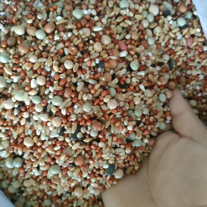 鸽粮，花生碎，红花籽，职业赛飞