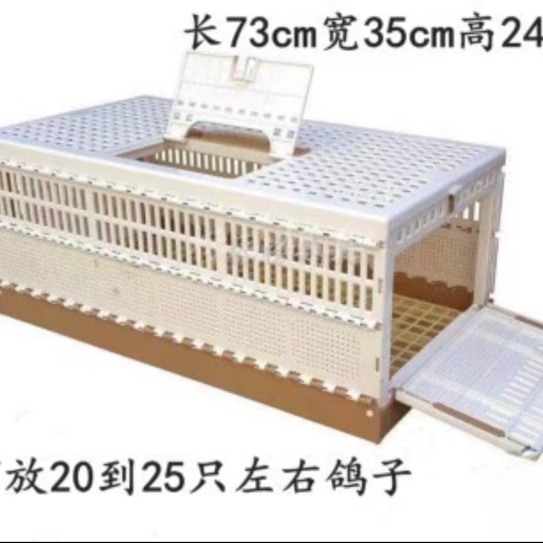 鸽子报道笼，训放笼，塑料折叠放飞笼