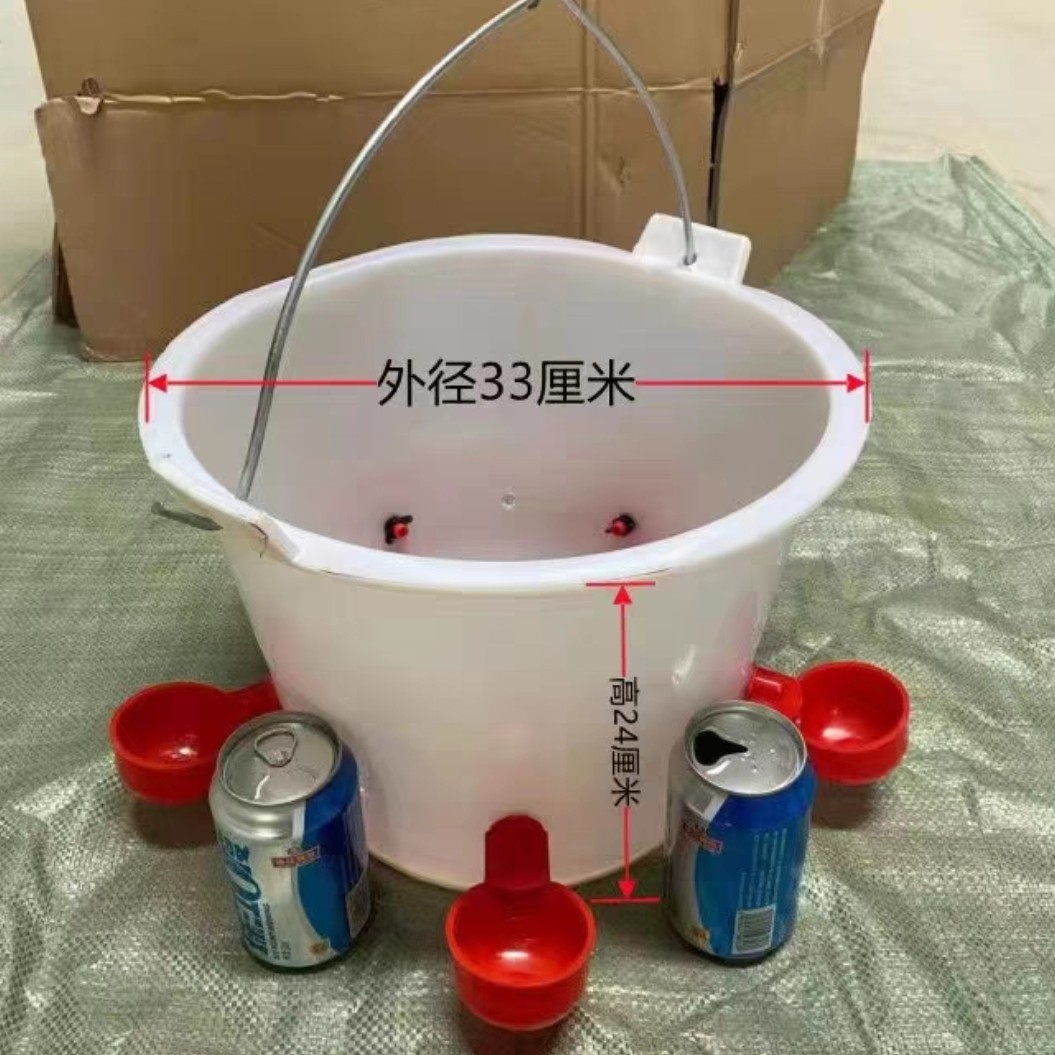 鸽子鸡鸭多用导水碗！