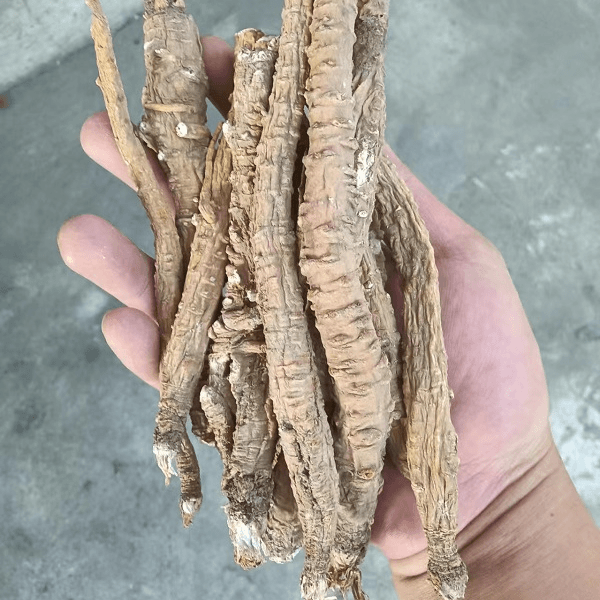 【飞哥山货】云南下山虎皮党参