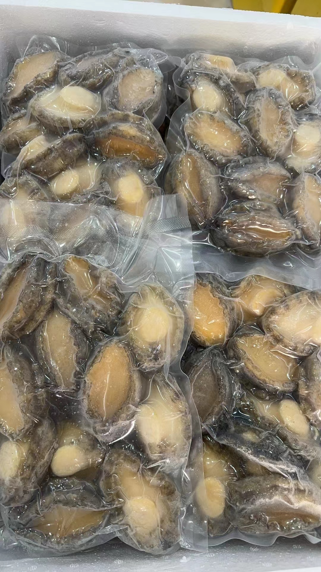 南日岛活鲍鱼现开现冻，口感甜又脆