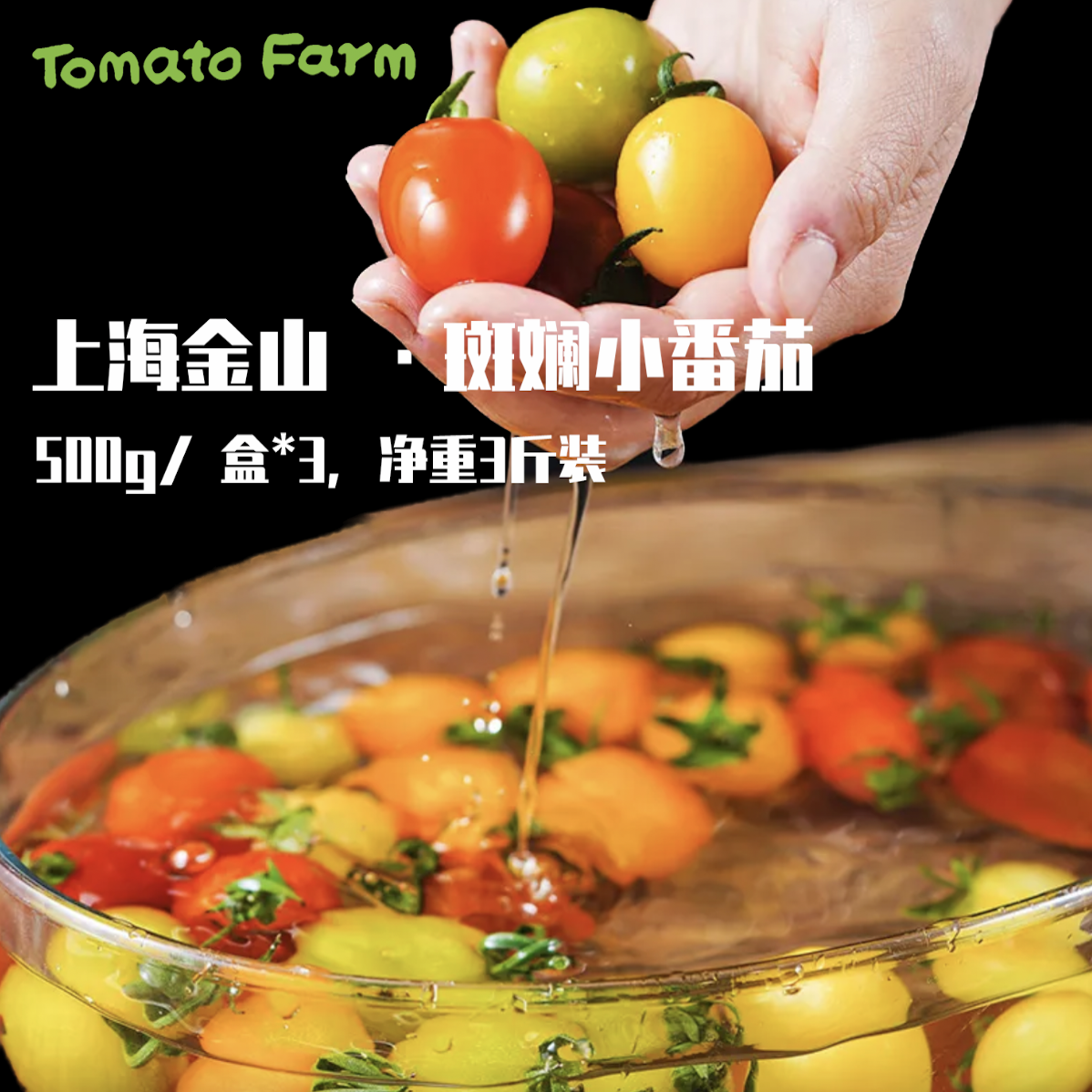 【月份额】上海斑斓小番茄【3斤装】1斤*3盒（5-8个品种混发）