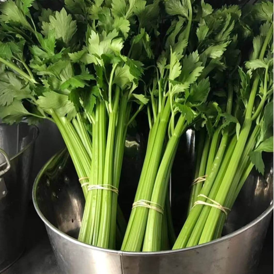 Celery西芹9次份额（电话确认后发货）Celery 9 experiences