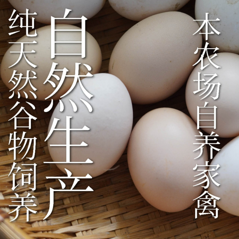 初生鸡蛋宝宝辅食婴儿孕妇月子·单次体验·生态健康安心·10-30枚