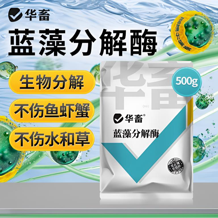蓝藻分解酶溶解蓝藻水产养殖生物分解溶氧低鱼虾蟹鱼塘除蓝藻Z
