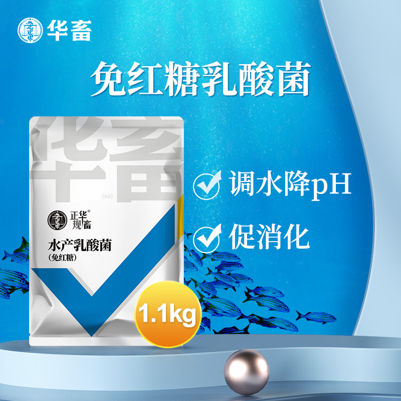 Z免红糖乳酸菌 降pH控蓝藻弧菌调水净水诱食鱼虾蟹水产养殖