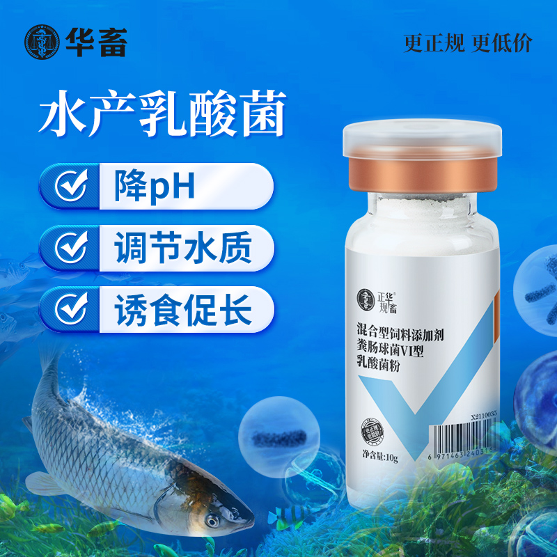【5瓶装】乳酸菌原粉  降ph控蓝藻弧菌诱食鱼虾蟹净水调水