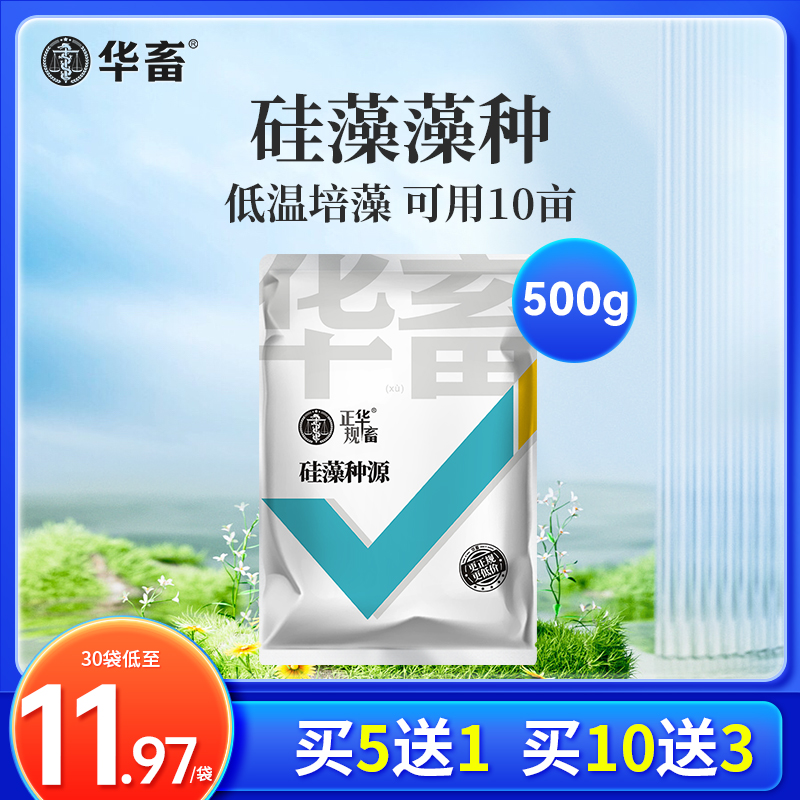 硅藻藻种水产养殖小球藻绿藻硅藻种鱼虾蟹塘肥水培藻饲料S