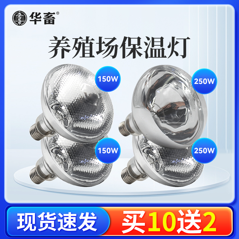 Z保温灯小鸡养殖场专用猪用取暖灯泡仔猪兽用猪场保暖加热灯