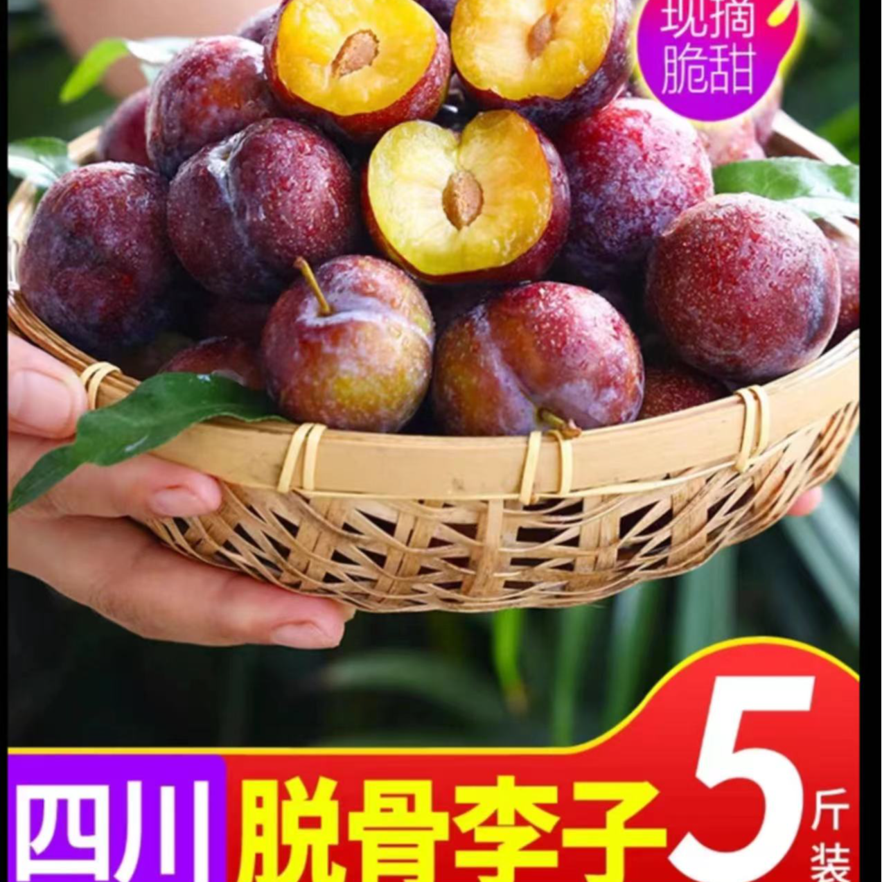 【脱骨李】脆红李四川眉山现摘现发新鲜应季水果果园直发脆爽多汁