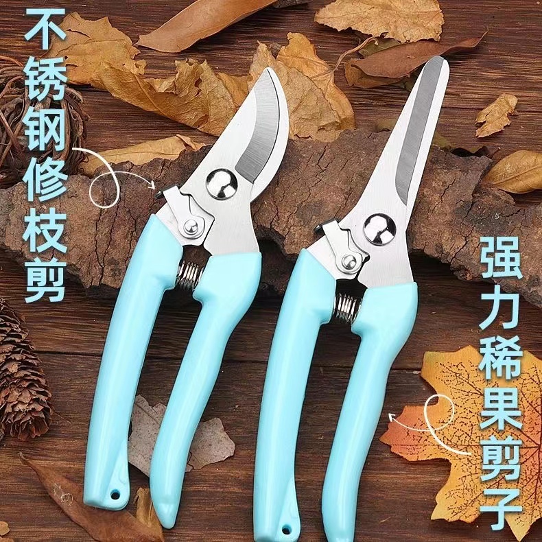 家用果树修枝神器剪花卉摘果剪树枝绿化园林园艺剪刀不锈钢剪枝