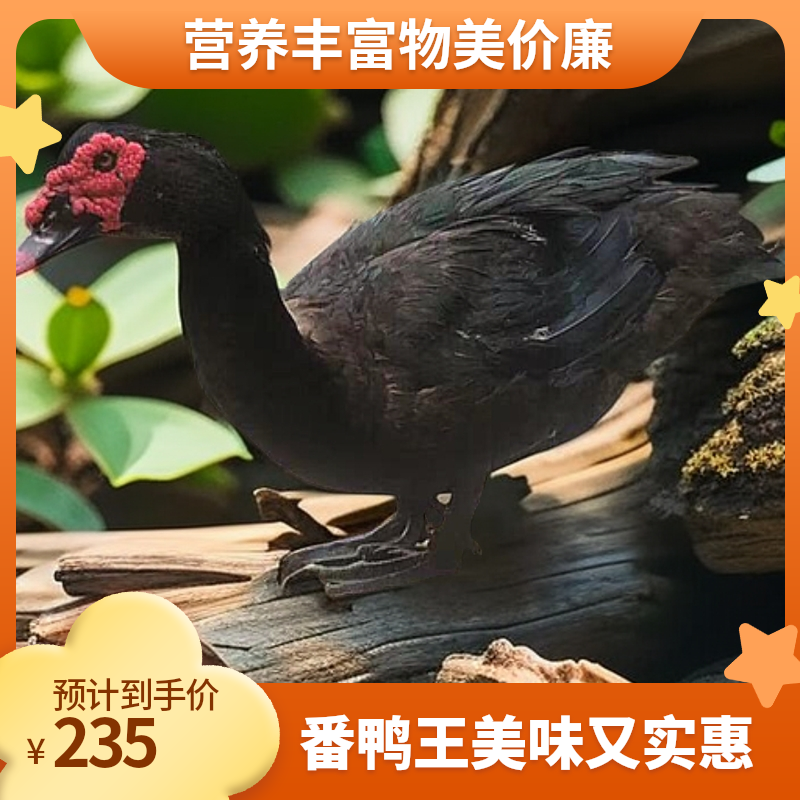 番鸭王福建本地正宗土番鸭公王美味佳肴新鲜物美价廉营养丰富好吃