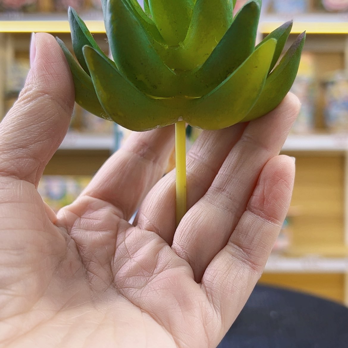 【闪购商品】骨瓷摆件F****