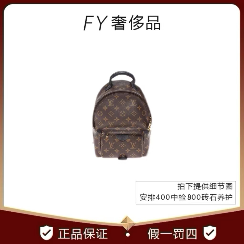 95新 LouisVuitton/路易威登 老花双肩包小号