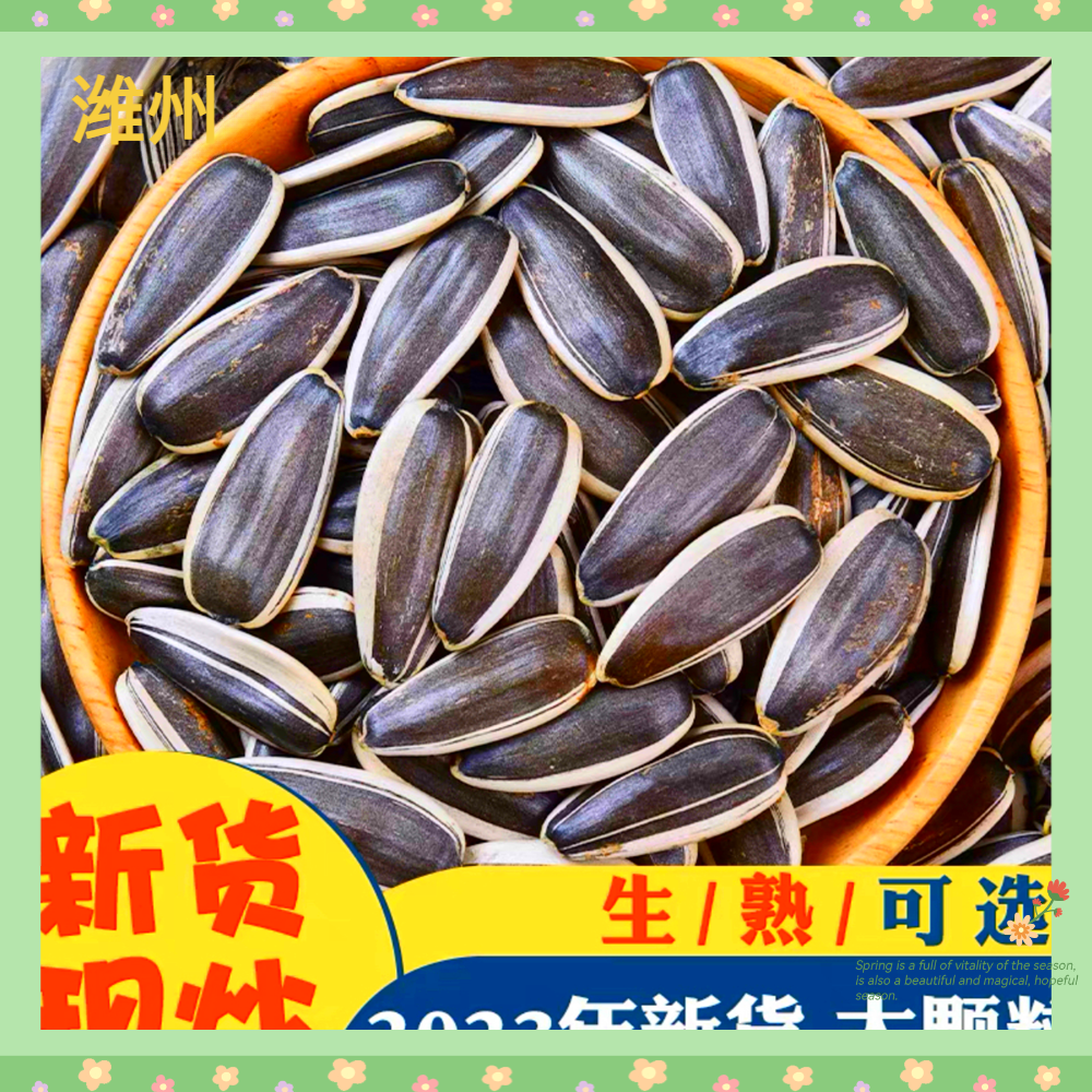 新疆内蒙古产区大瓜子生熟葵花籽原味严选级363【23年新货】休闲