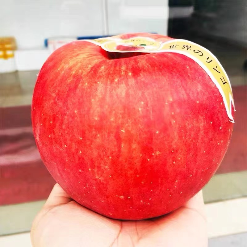 三宝爸 4个圣诞平安超大苹果