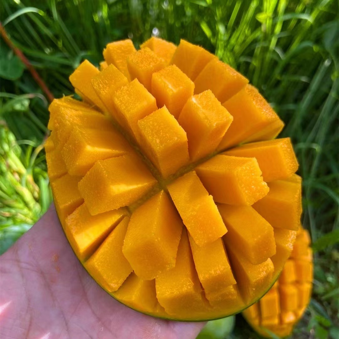 三宝爸 4斤装大芒果 新鲜当季水果