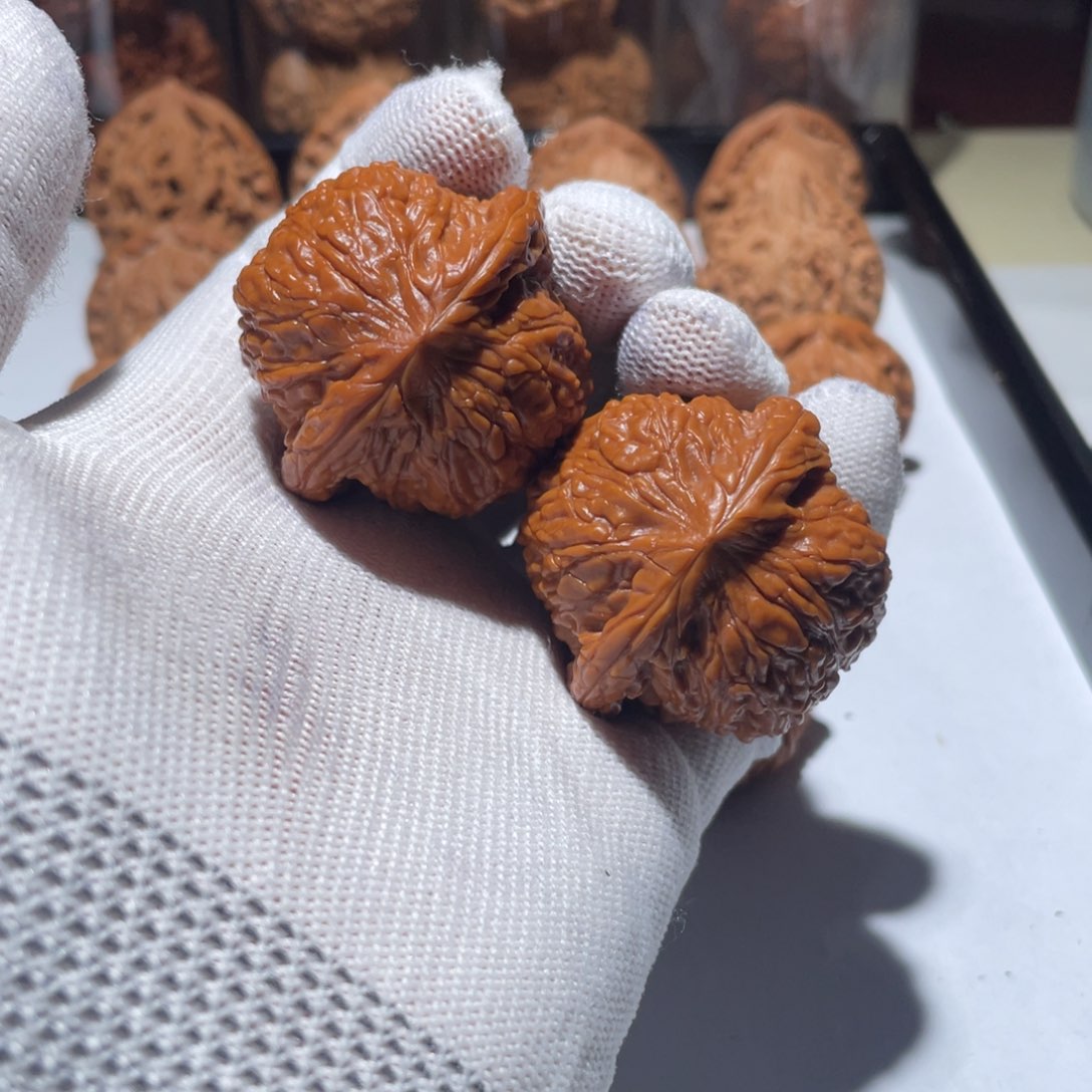 核桃核雕泥鳅背全品41尺