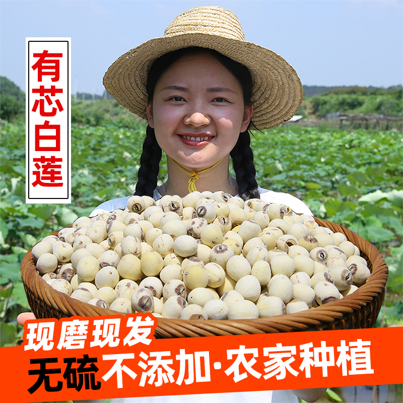 【带芯白莲500克】湘潭农家白莲子 新货现磨皮绿心煮粥煲汤干货特产