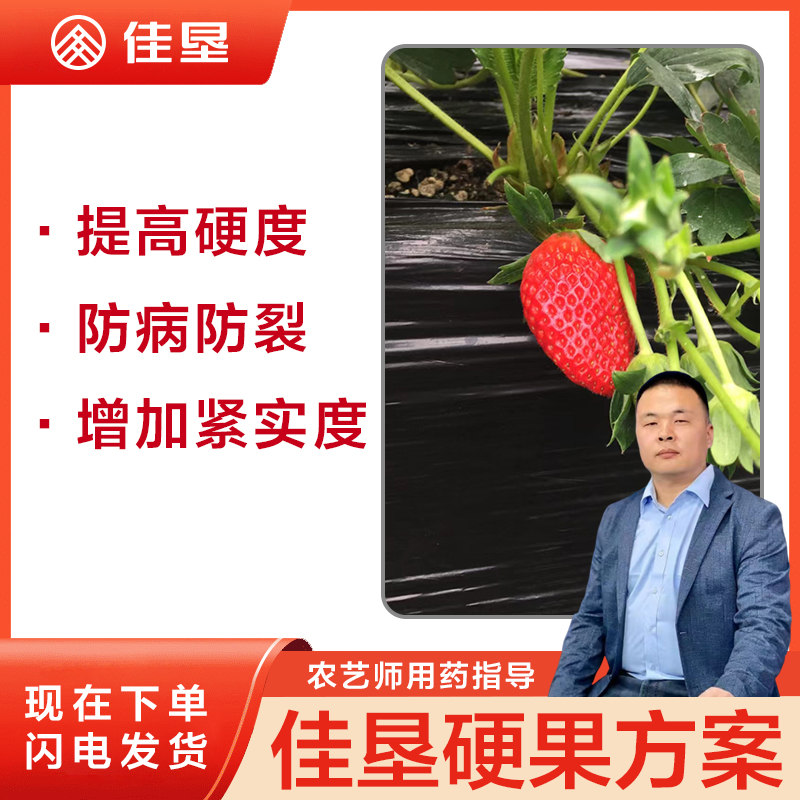 【佳垦草莓补钙方案】促花促果补钙方案花前促花花后壮果补钙靓果增
