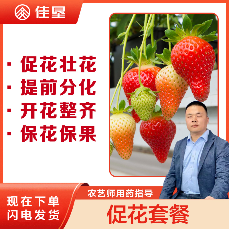 佳垦草莓促花套餐促进花芽分化提早开花结果增产增收保花保果