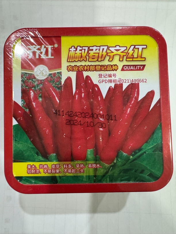 高产早熟抗病抗倒辣椒蔬菜种子椒都齐红