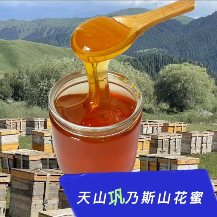 黑娃黑妹专享新疆黑蜂巩乃斯山药材花蜜2斤包邮