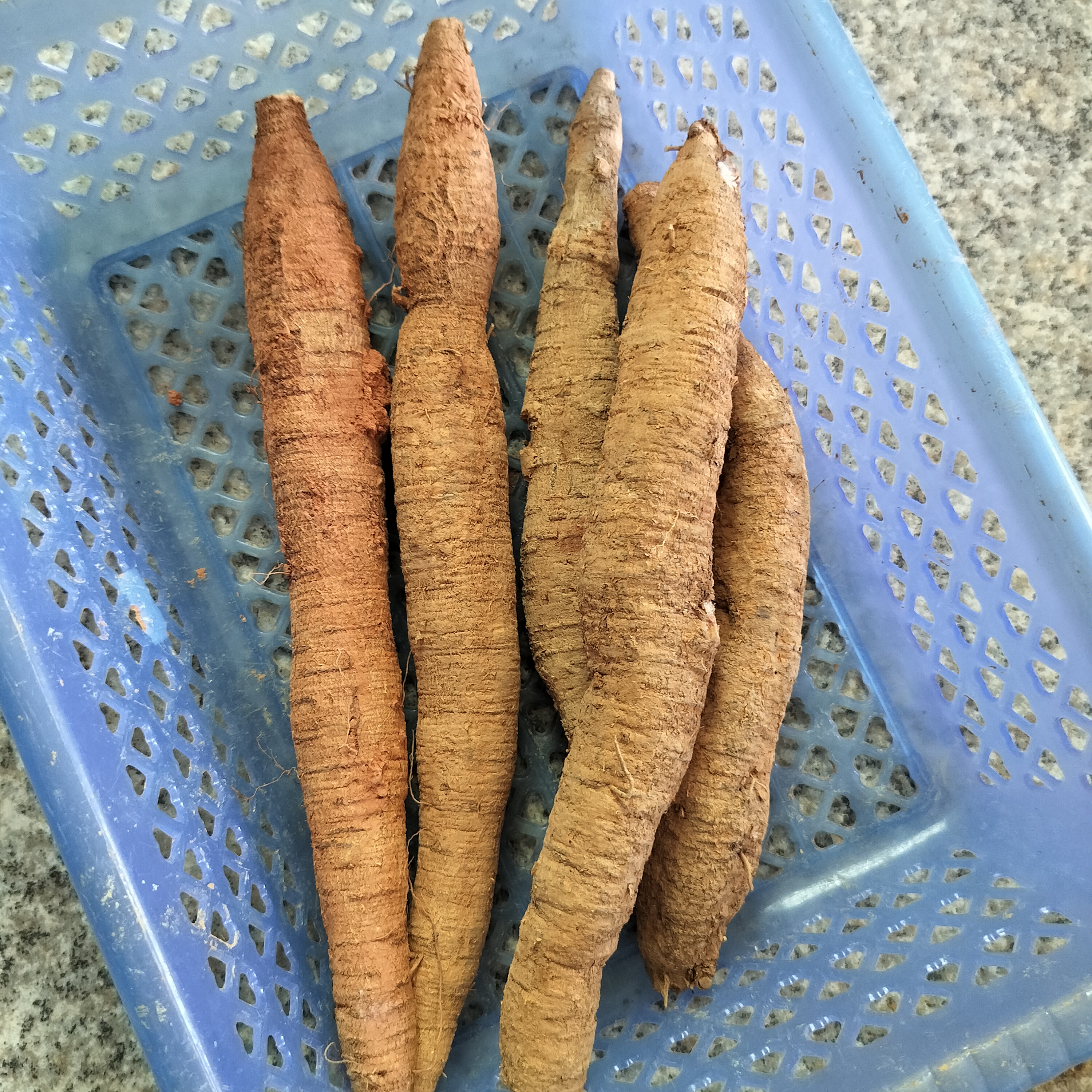 新鲜牛大力粉质薯煲汤泡酒靓料500g