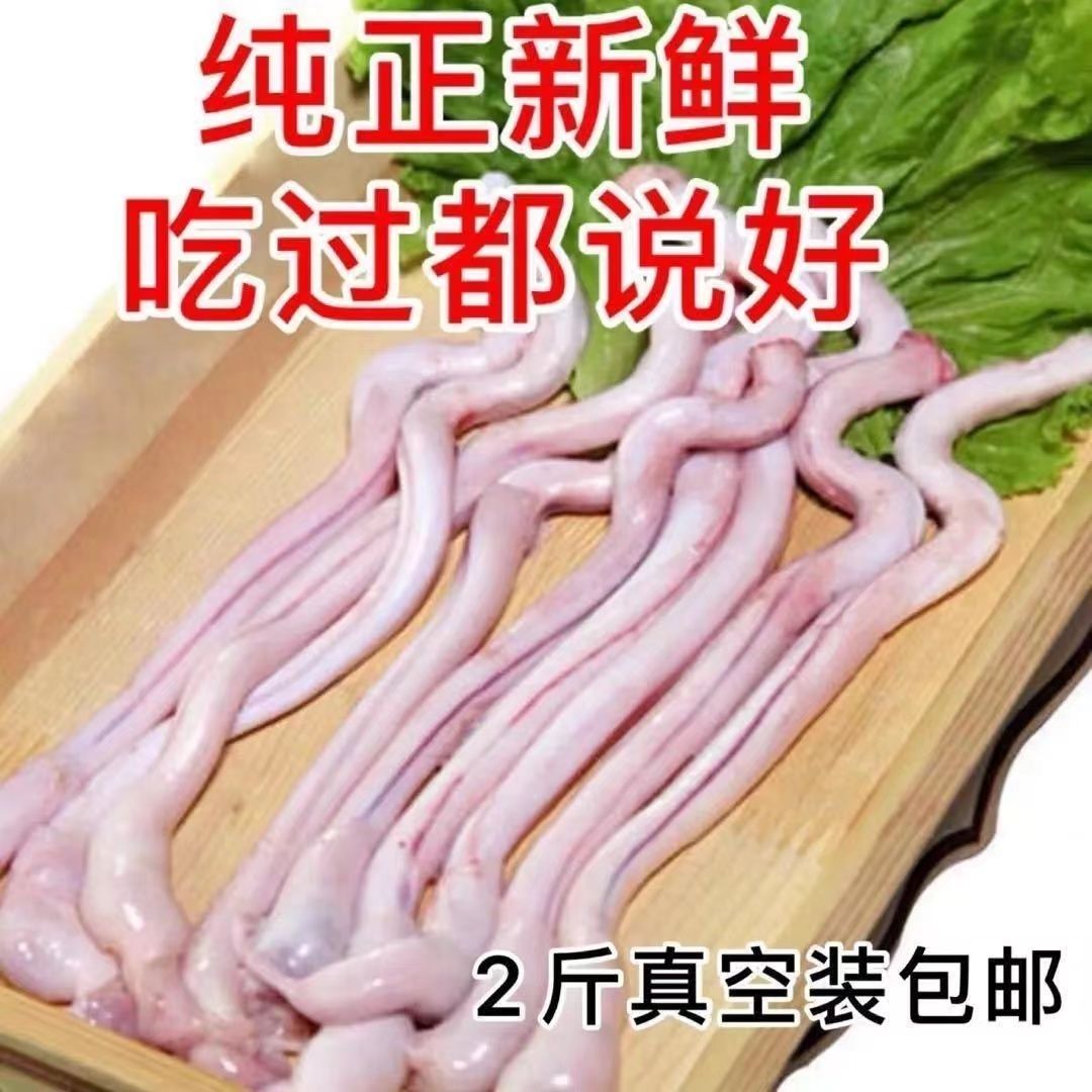 新鲜羊鞭纯羊鞭羊鞭整根新鲜羊鞭商用羊三宝