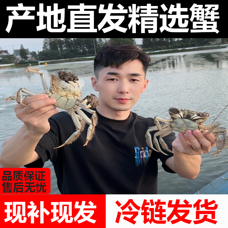 【活蟹】母蟹3.4-3.7两兴化大闸蟹6-10只顺丰京东冷链精品礼盒