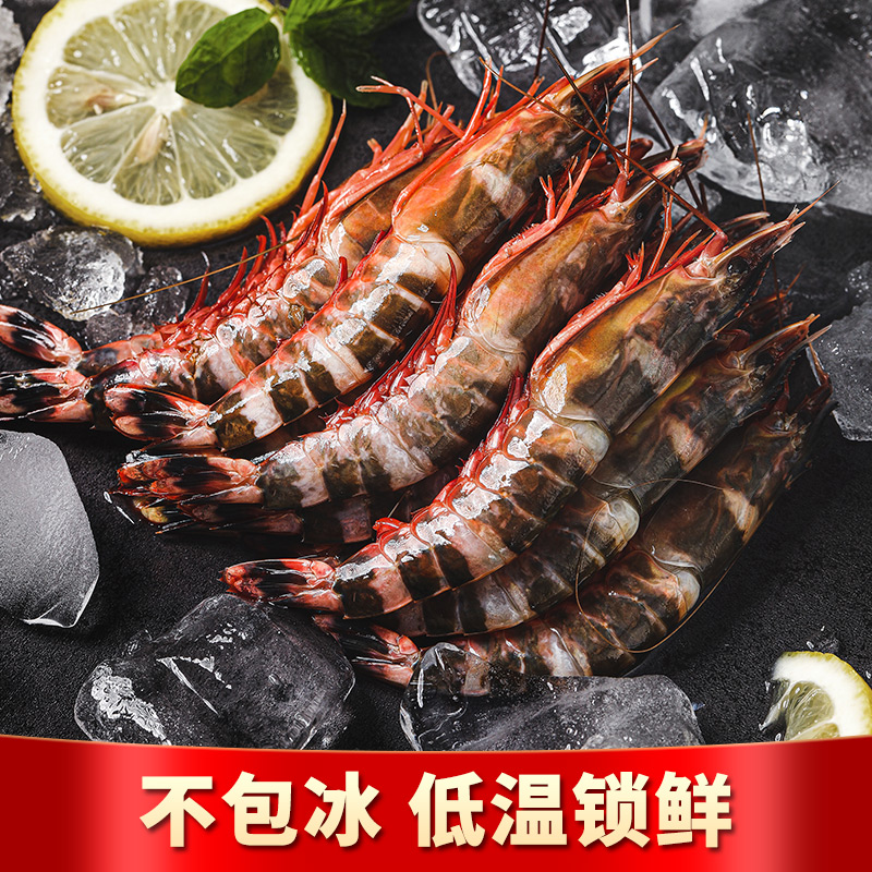 野生海捕猫虎虾 斑节虾 竹节虾鲜活船冻 一盒净重400g 顺丰包邮