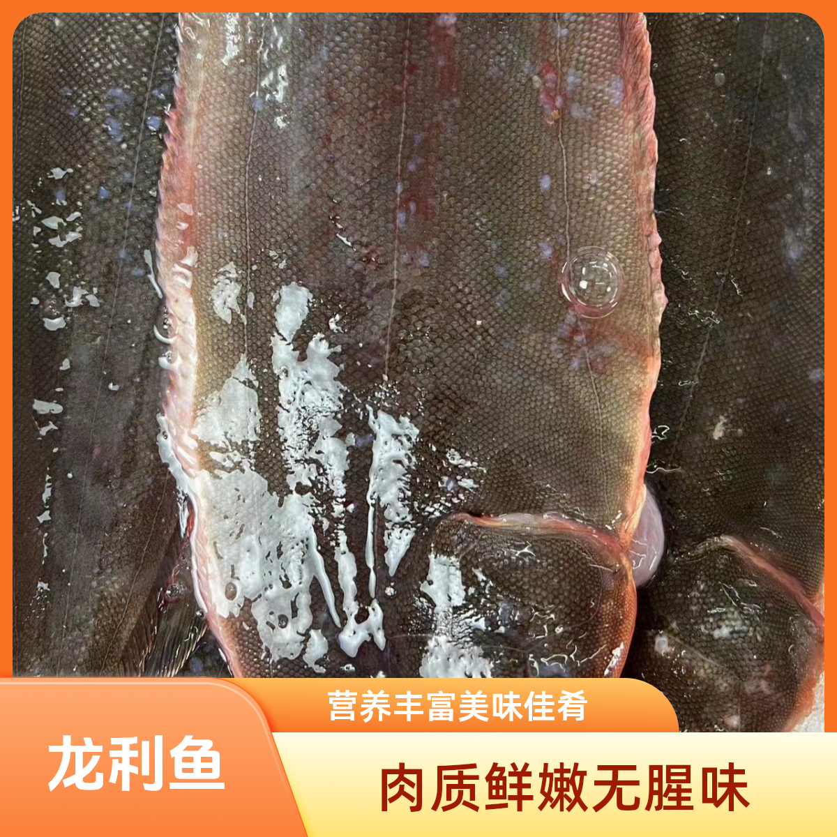 龙利鱼 鱼肉质鲜美口感爽滑无腥味和异味 蛋白质含量高 营养丰富
