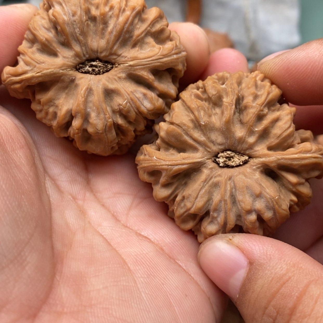 【闪购商品】文玩核桃吊坠吥****鱼