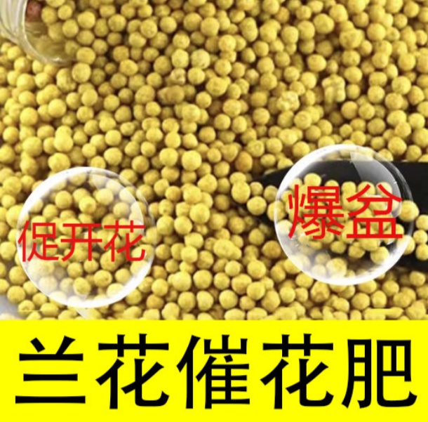 【兰花专用肥】促进开花延长花期生根壮苗防治黄叶颗粒缓释有机肥