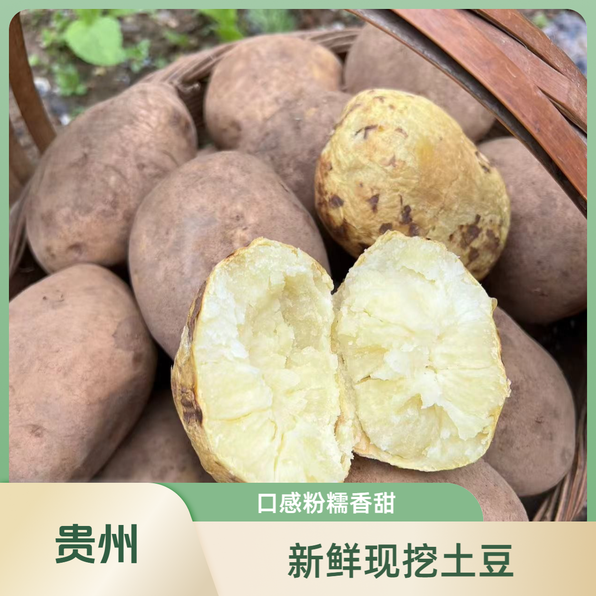 贵州特产贵州威宁本地黄皮黄心洋芋粉糯土豆马铃薯
