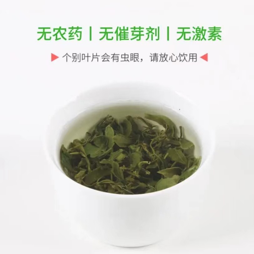 照峰日照绿茶豆香鲜香浓香口感柔和回甘持久500克浓香型产地新茶