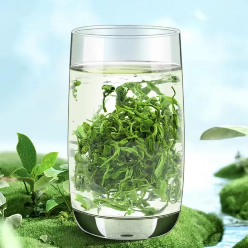 照峰日照绿茶新鲜豌豆香茶500克250克手工鲜嫩香浓传统柔口茶