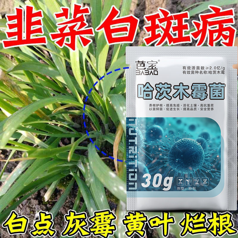 韭菜病害急救韭菜病全管黄叶干尖灰霉病疫病锈病叶枯病正品菌剂
