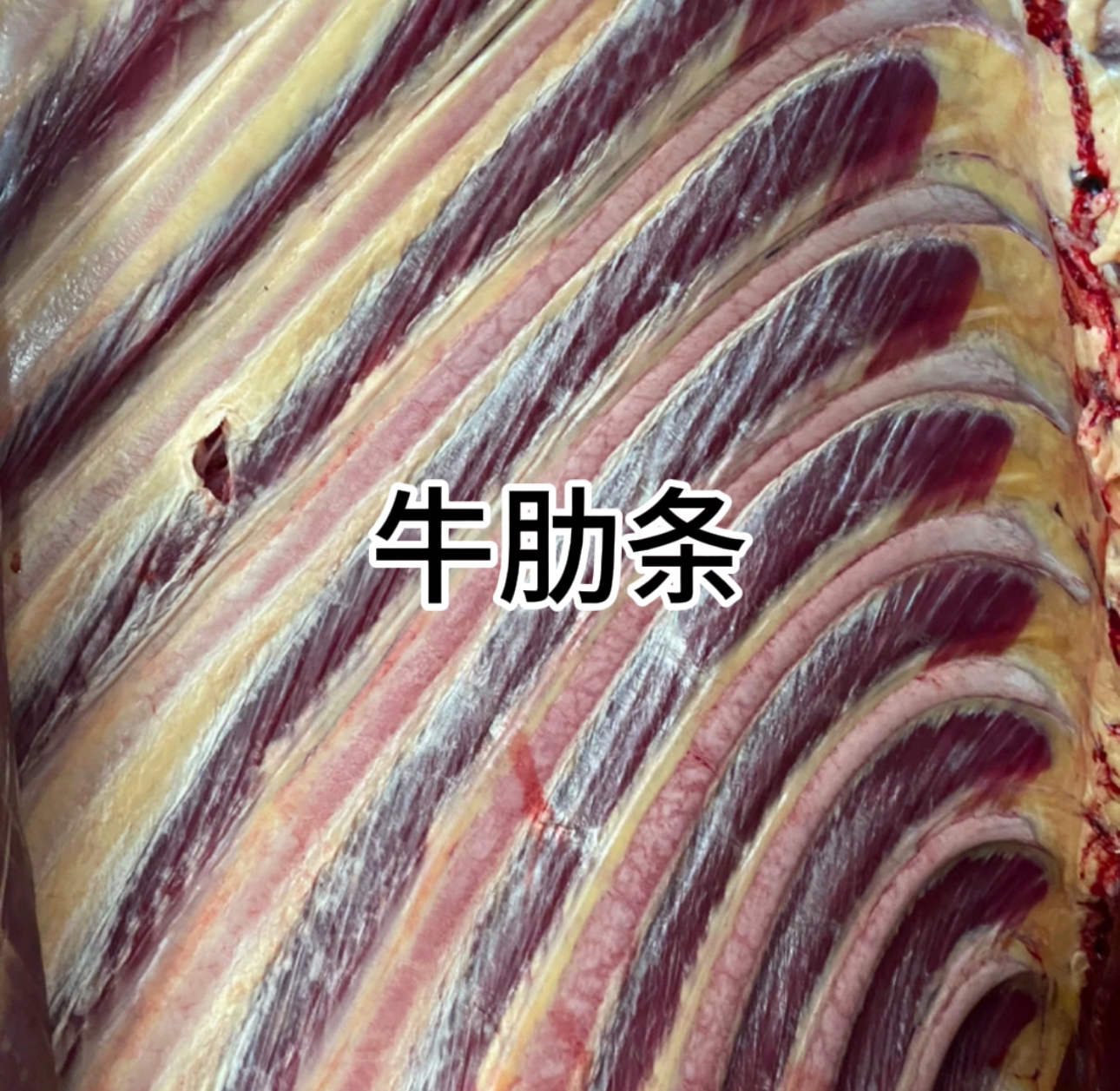 【直播间称重改价】六号农户散养牛排骨清炖 红烧 原切鲜嫩浓郁鲜美