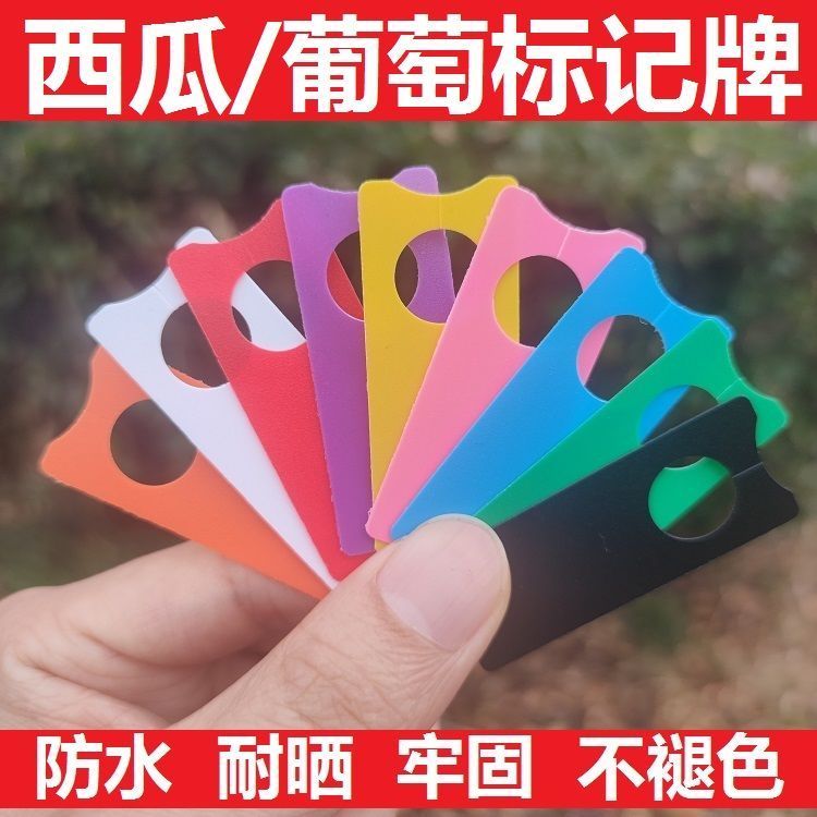 葡萄记号牌防水标记牌西瓜瓜果标记挂牌对花神器新款葡萄色卡