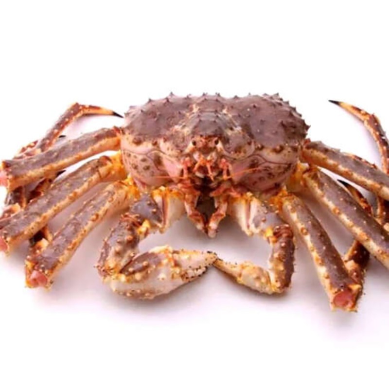 鲜活帝王蟹（约2500g-3000g)